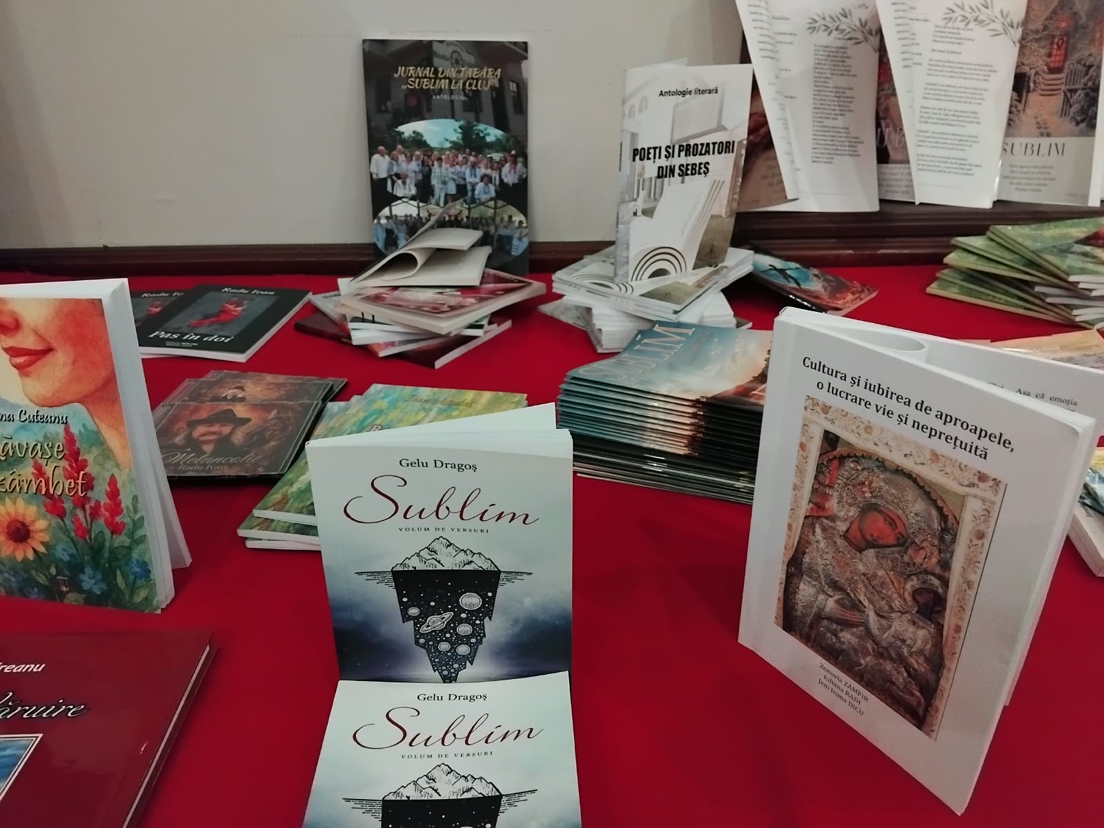 Cărți prezentate la tabăra Sublim la Cluj